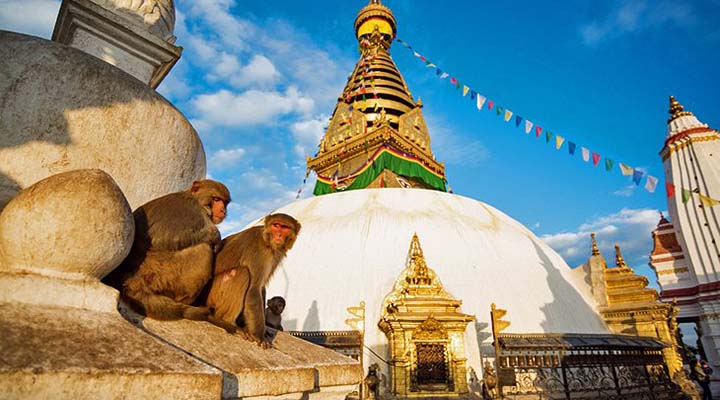 معبد میمون در نپال