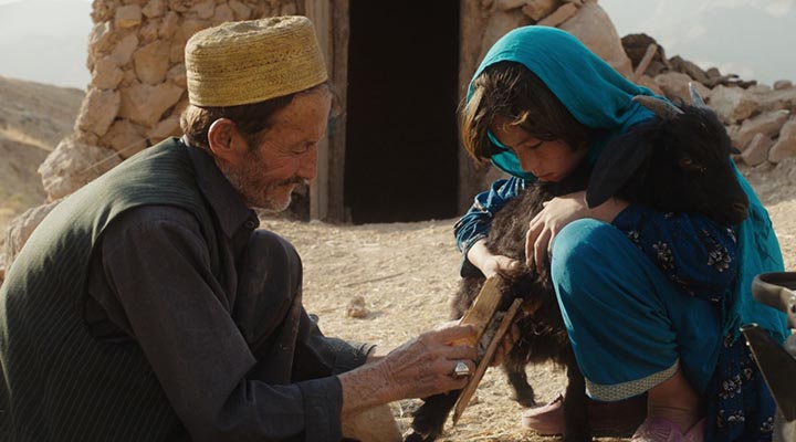 فیلم افغانی گرگ و گوسفند