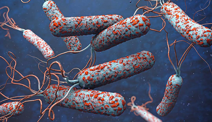 بیماری وبا چگونه منتشر می‌شود؟