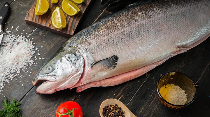 انواع ماهی خوراکی - ویژگی های ماهی سالمون