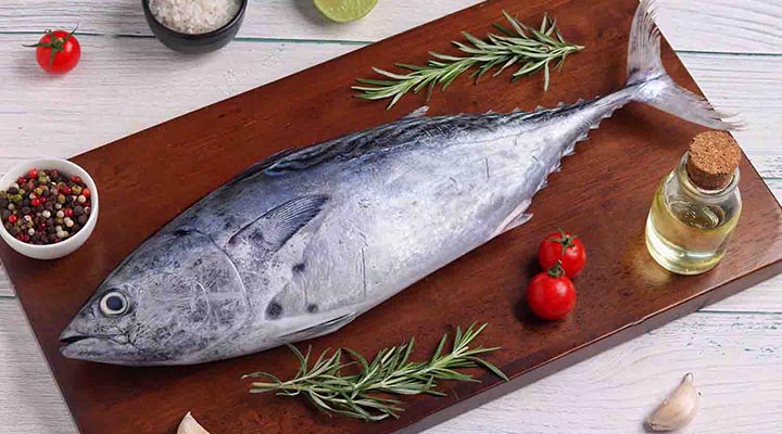 آیا مصرف ماهی تن مضر است؟