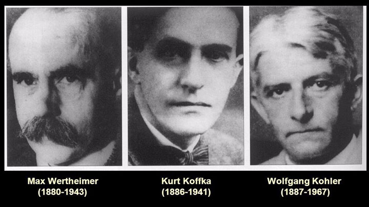 ۳ دانشمند پایه‌گذار روانشناسی گشتالت