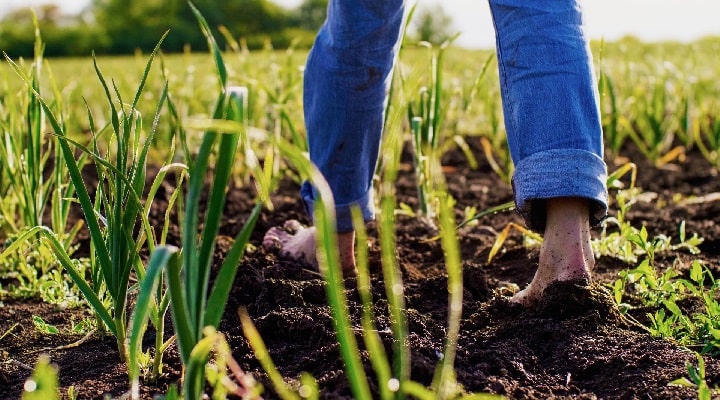 تماس با خاک برای آرامش