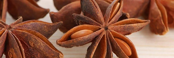بادیان خطایی