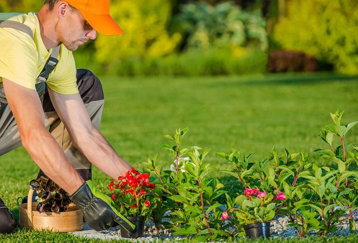باغبانی از مشاغل کم استرس
