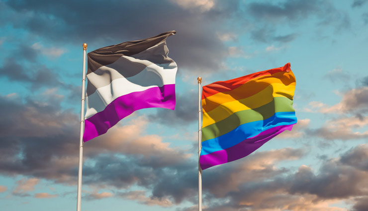 پرچم رنگین کمانی نماد احترام به همه گرایش‌های جنسی ازجمله آسکشوال ها