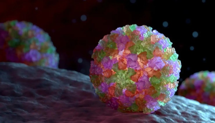 توپی تشکیل شده از توپ‌های ریزتر نمادی از نوروویروس