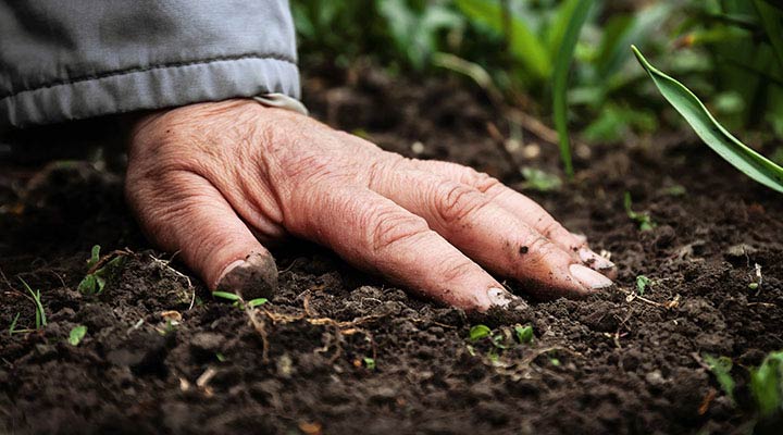 چرا صنعت کشاورزی پایدار 1402 + مفاهیم، فواید، و اصول عملی - مجله اینترنتی رادین
