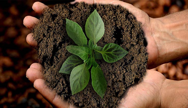 محافظت از خاک و محیط زیست با کشاورزی پایدار
