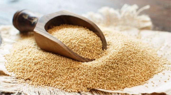 تاج خروس غلهای فاید گلوتن
