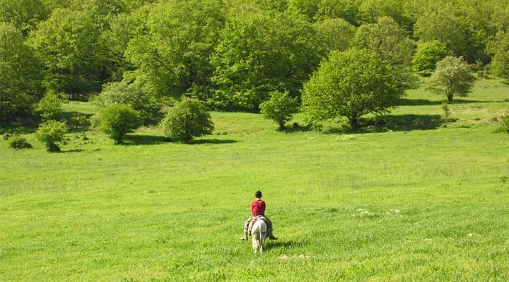 یکی از روستاهای عجیب ایران؛ درکش