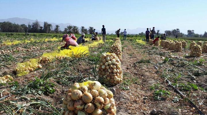 روستای شمیل؛ یکی از بهترین جاهای دیدنی هرمزگان