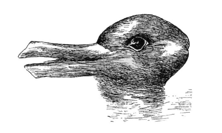 خطای دید اردک و خرگوش