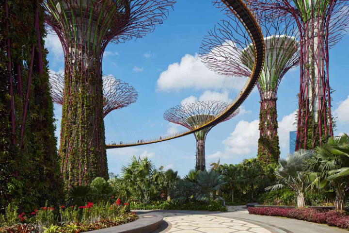 باغ خلیج سنگاپور