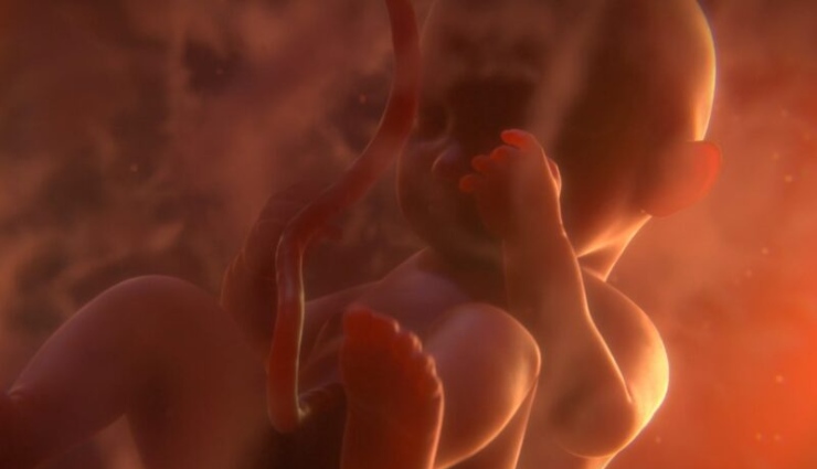 جنین داخل رحم - IUGR چیست