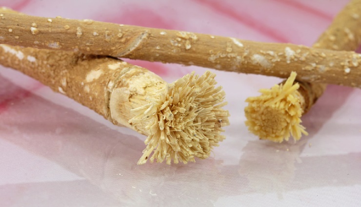 Miswak