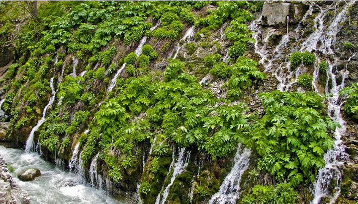 آبشار هفت چشمه؛ از زیباترین جاهای دیدنی جاده چالوس