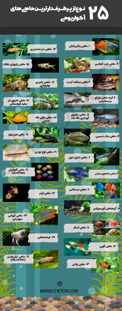 اینفوگرافی ۲۵ نوع از ماهی های آکواریومی