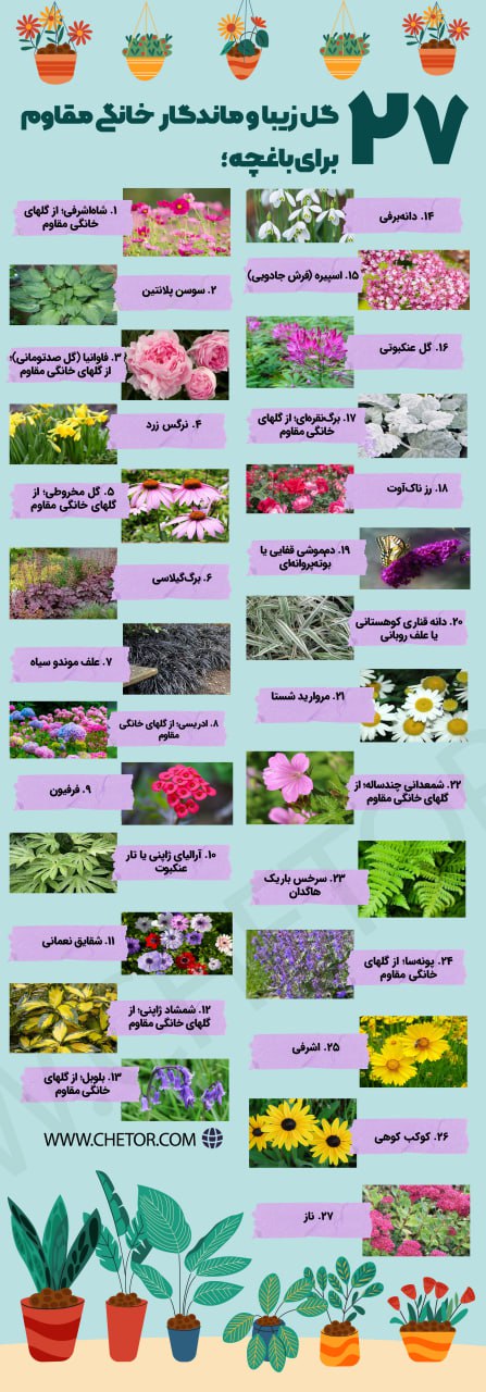 گلهای خانگی مقاوم