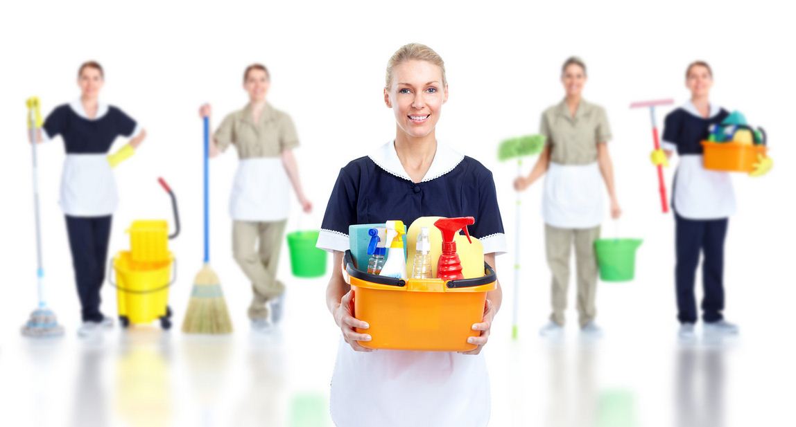 Domestic Cleaning Service 1