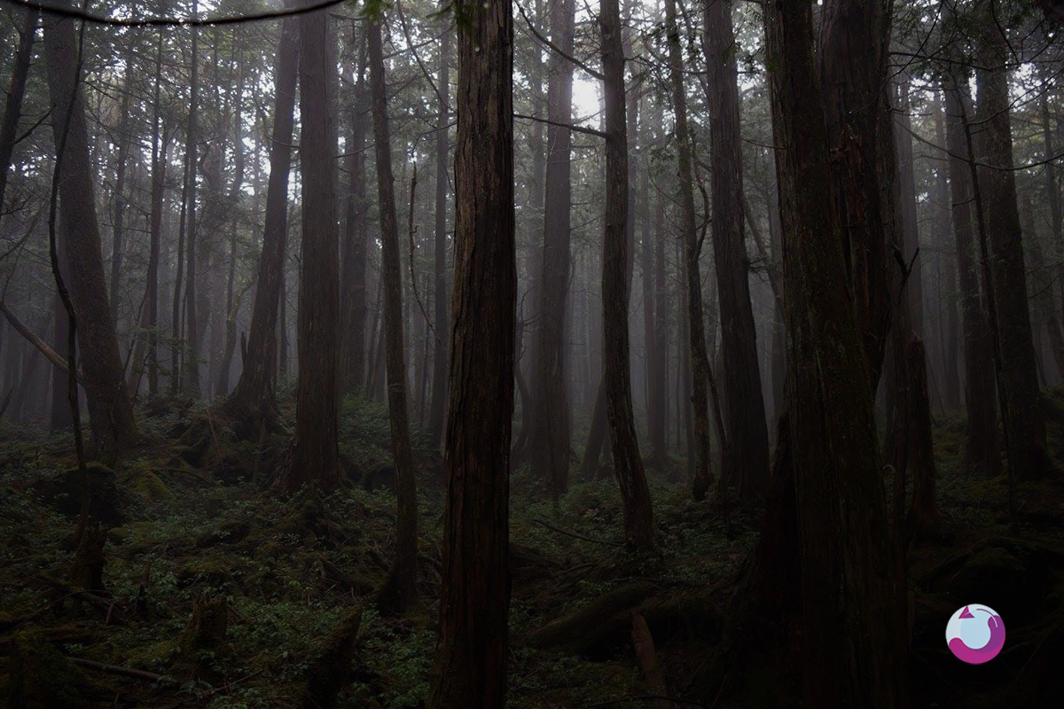 مکانهای ترسناک ژاپن و نحوه سفر به آنها