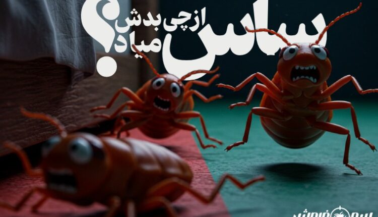 ساس از چی بدش میاد؟