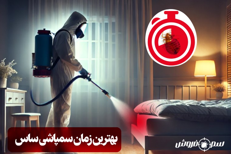 بهترین زمان سمپاشی ساس چه ساعتی است؟